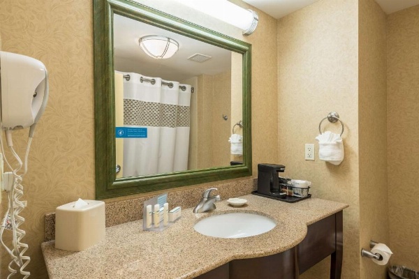 Hampton Inn By Hilton & Suites Orlando-South Lake Buena Vista image 11