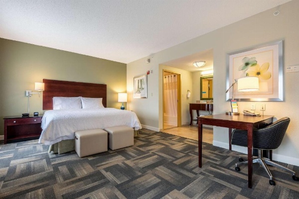 Hampton Inn By Hilton & Suites Orlando-South Lake Buena Vista image 14