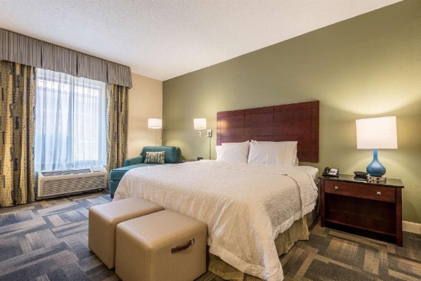 Hampton Inn By Hilton & Suites Orlando-South Lake Buena Vista image 15