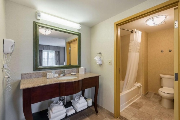 Hampton Inn By Hilton & Suites Orlando-South Lake Buena Vista image 18