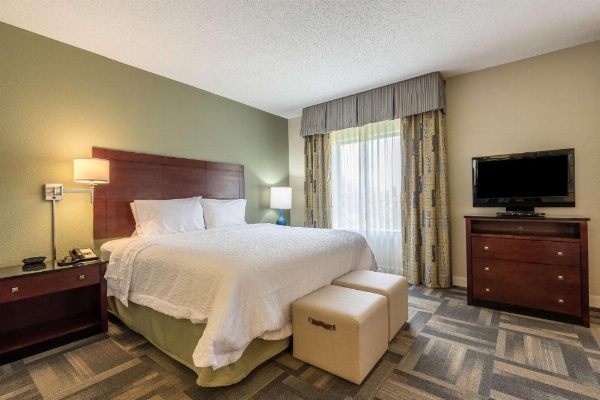 Hampton Inn By Hilton & Suites Orlando-South Lake Buena Vista image 21