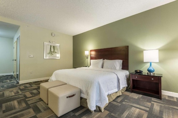 Hampton Inn By Hilton & Suites Orlando-South Lake Buena Vista image 27